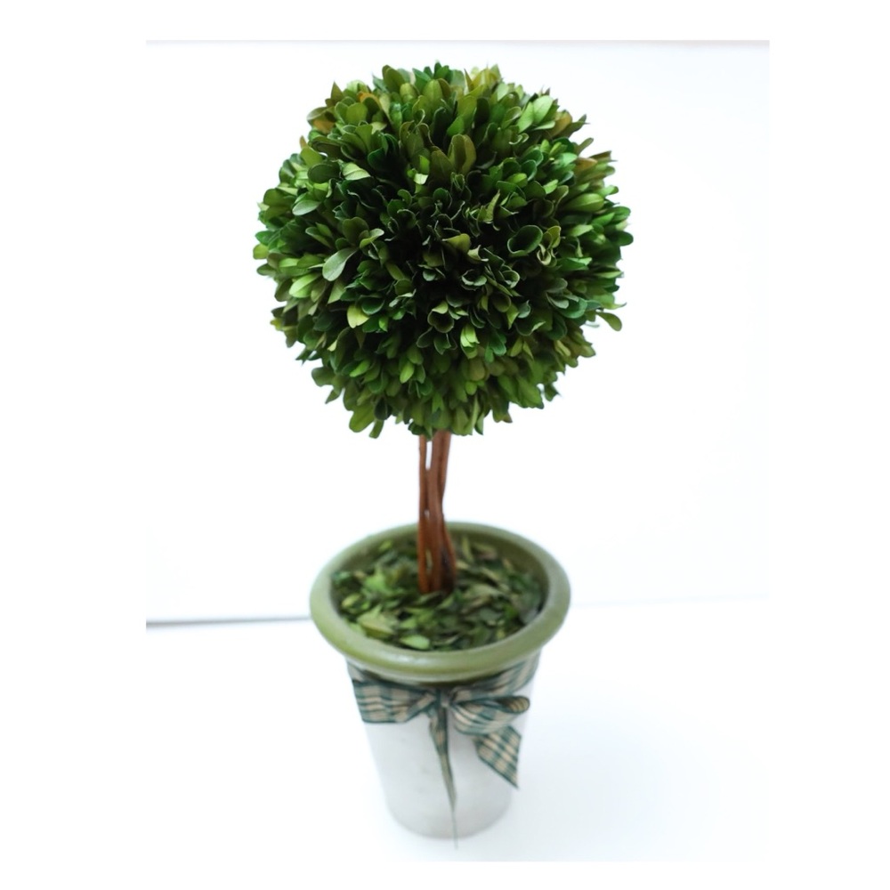 1 Sphere Topiary Home Plant Potted in a Clay Planter Wood trunks Decor 17 inch